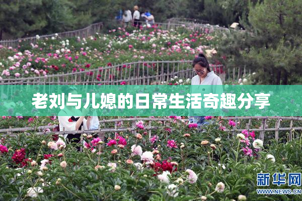 老刘与儿媳的日常生活奇趣分享