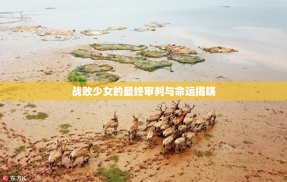 战败少女的最终审判与命运揭晓