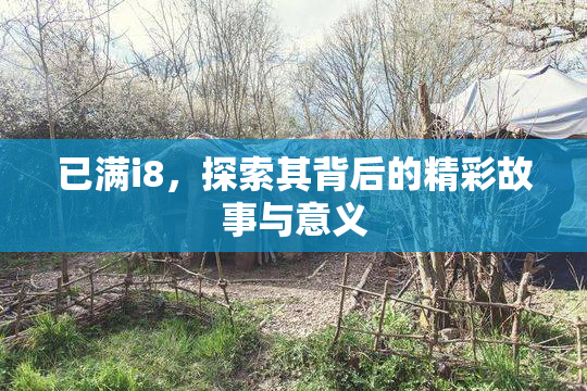 已满i8，探索其背后的精彩故事与意义