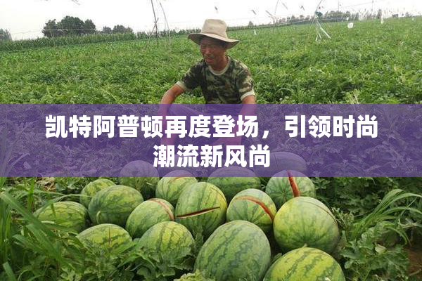 凯特阿普顿再度登场，引领时尚潮流新风尚