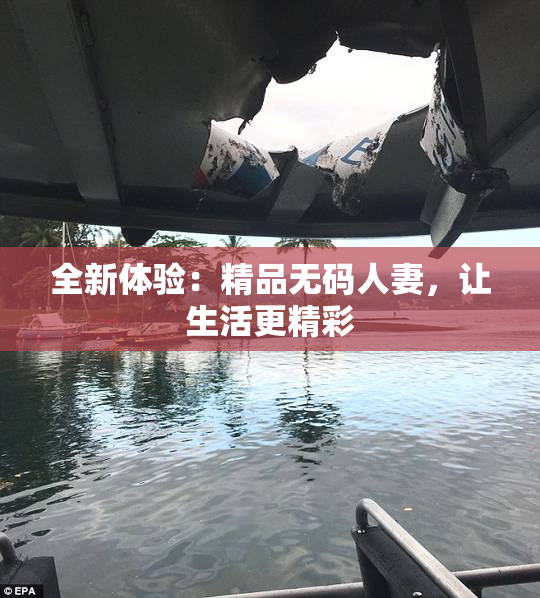 全新体验：精品无码人妻，让生活更精彩