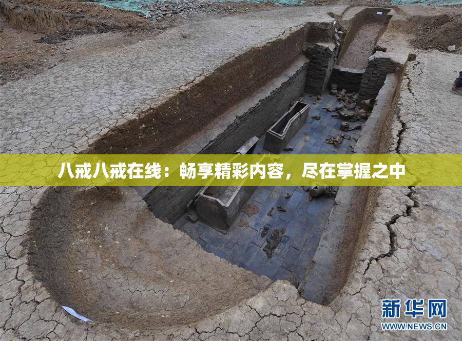 八戒八戒在线：畅享精彩内容，尽在掌握之中