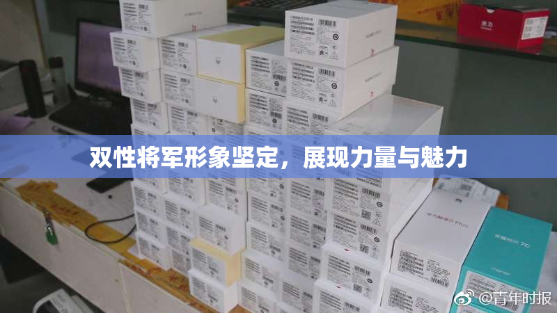 双性将军形象坚定，展现力量与魅力