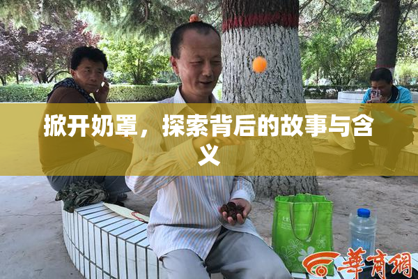 掀开奶罩，探索背后的故事与含义
