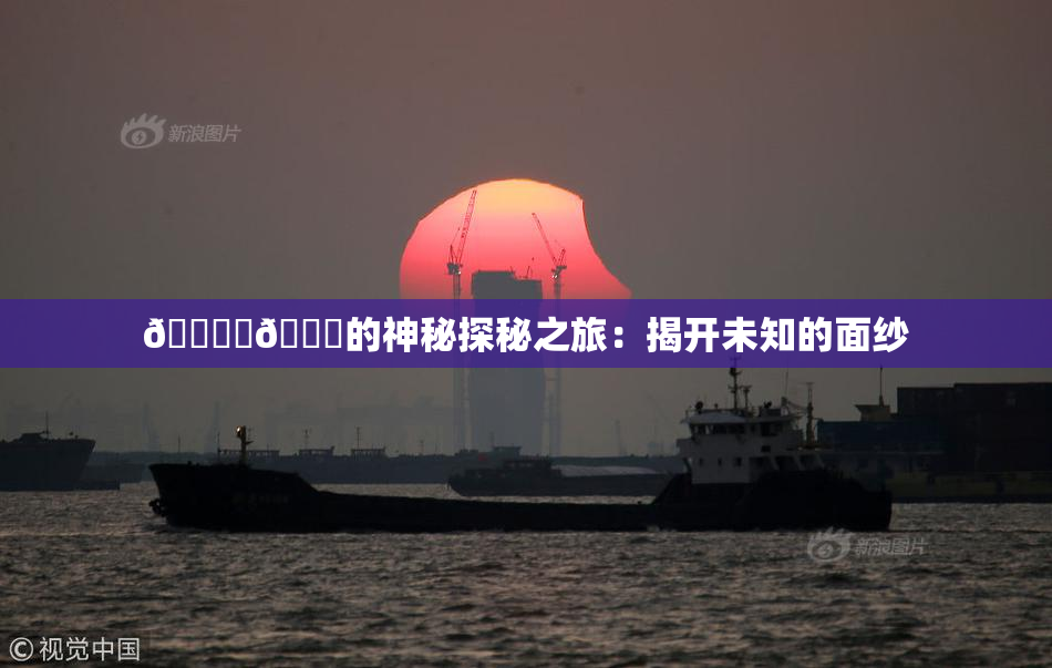 🔞‌🍌的神秘探秘之旅：揭开未知的面纱