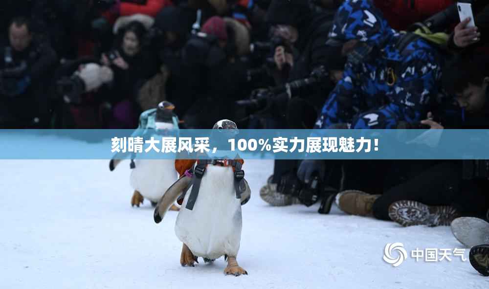 刻晴大展风采，100%实力展现魅力！
