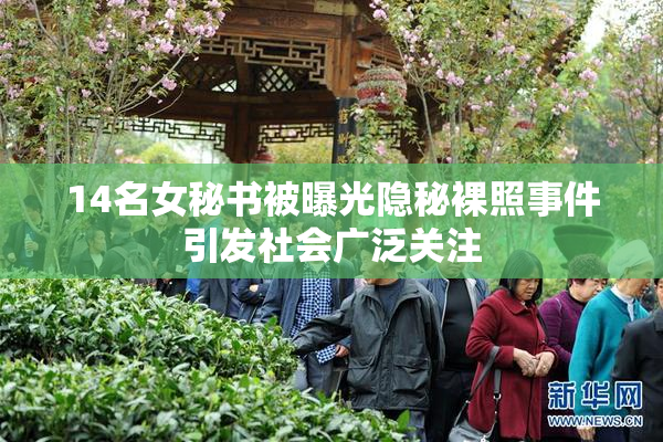 14名女秘书被曝光隐秘裸照事件引发社会广泛关注