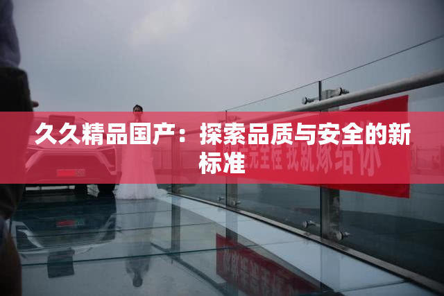 久久精品国产：探索品质与安全的新标准