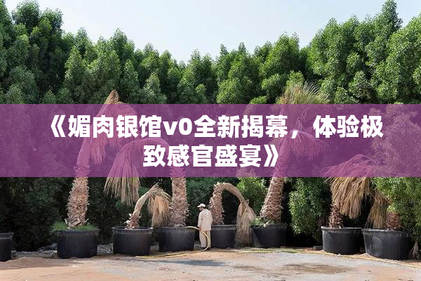 《媚肉银馆v0全新揭幕，体验极致感官盛宴》