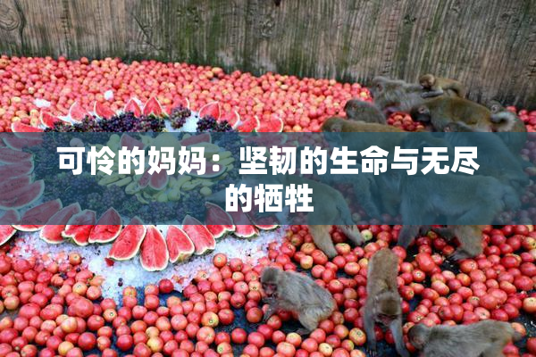 可怜的妈妈：坚韧的生命与无尽的牺牲