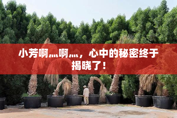 小芳啊灬啊灬，心中的秘密终于揭晓了！