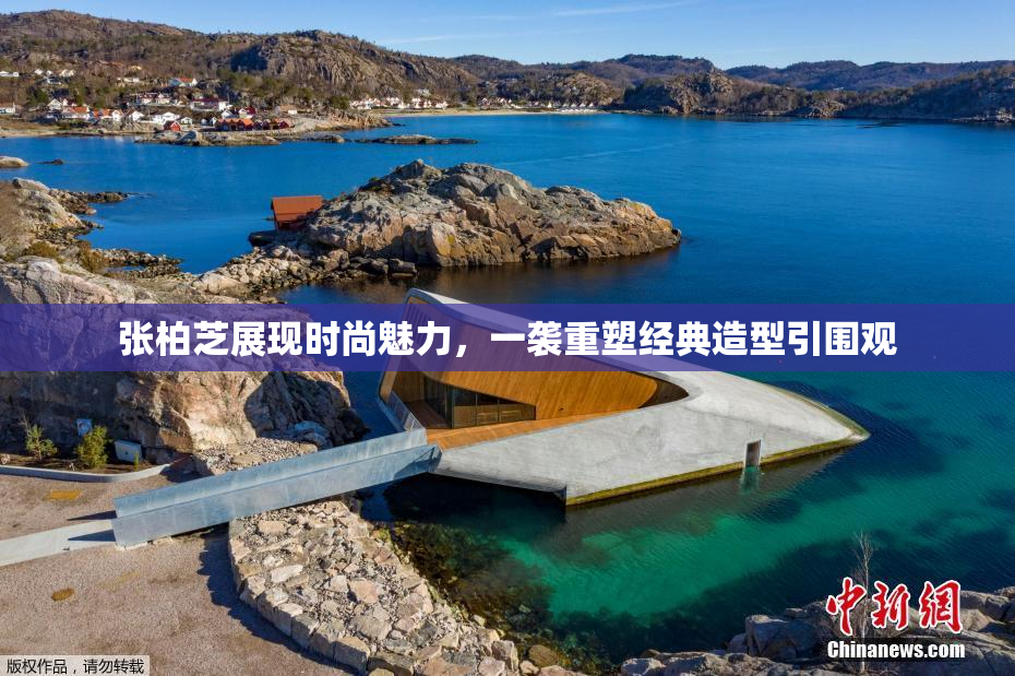 张柏芝展现时尚魅力，一袭重塑经典造型引围观