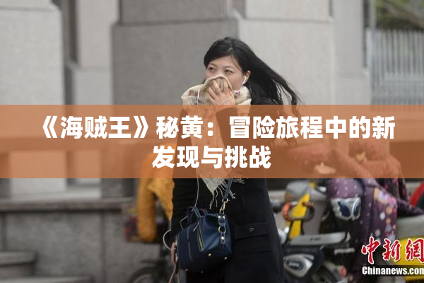 《海贼王》秘黄：冒险旅程中的新发现与挑战