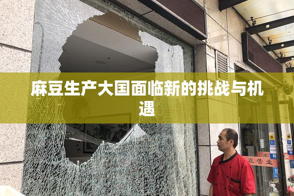 麻豆生产大国面临新的挑战与机遇