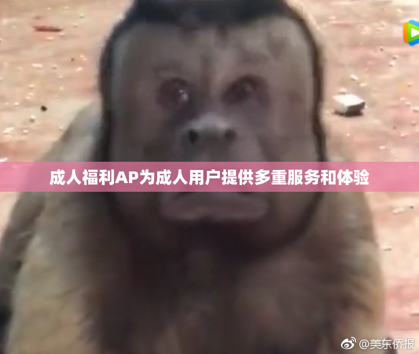 成人福利AP为成人用户提供多重服务和体验