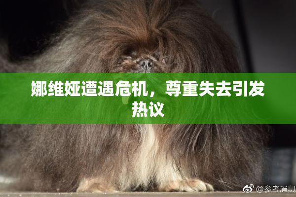 娜维娅遭遇危机，尊重失去引发热议