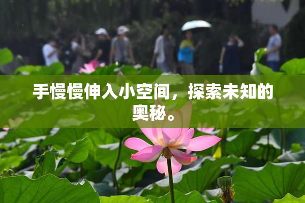 手慢慢伸入小空间，探索未知的奥秘。