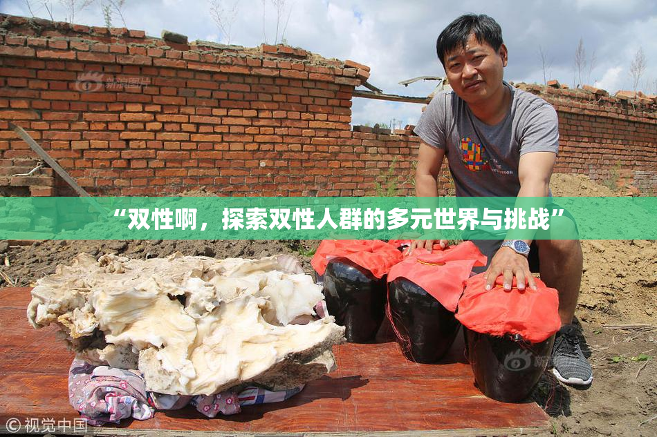 “双性啊，探索双性人群的多元世界与挑战”