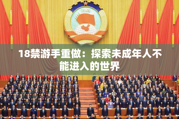 18禁游手重做：探索未成年人不能进入的世界