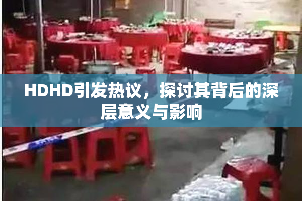 HDHD引发热议，探讨其背后的深层意义与影响