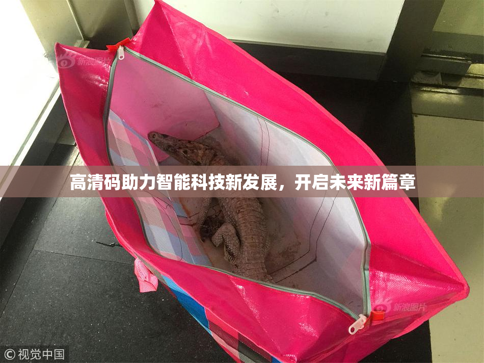 高清码助力智能科技新发展，开启未来新篇章