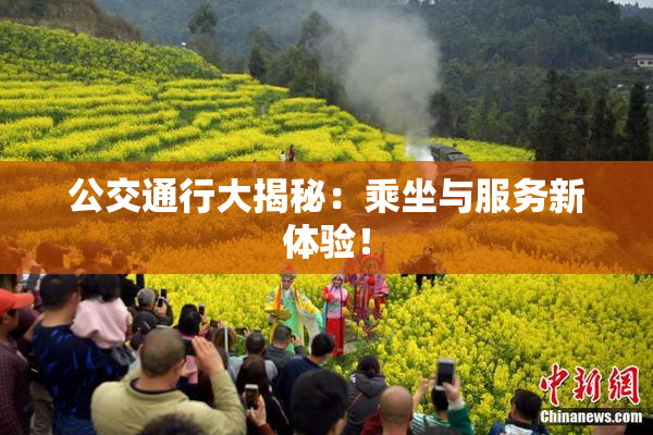 公交通行大揭秘：乘坐与服务新体验！