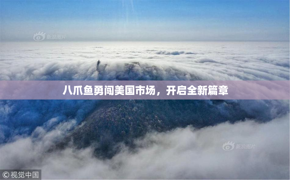 八爪鱼勇闯美国市场，开启全新篇章