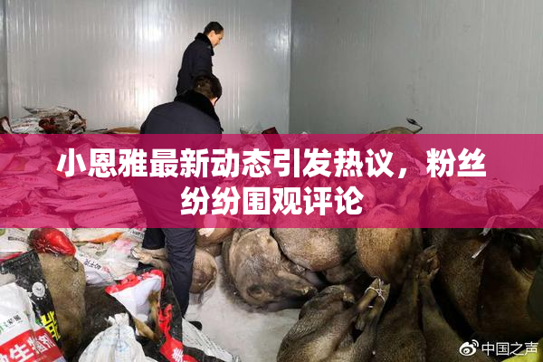 小恩雅最新动态引发热议，粉丝纷纷围观评论