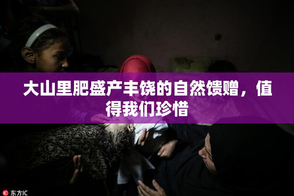 大山里肥盛产丰饶的自然馈赠，值得我们珍惜