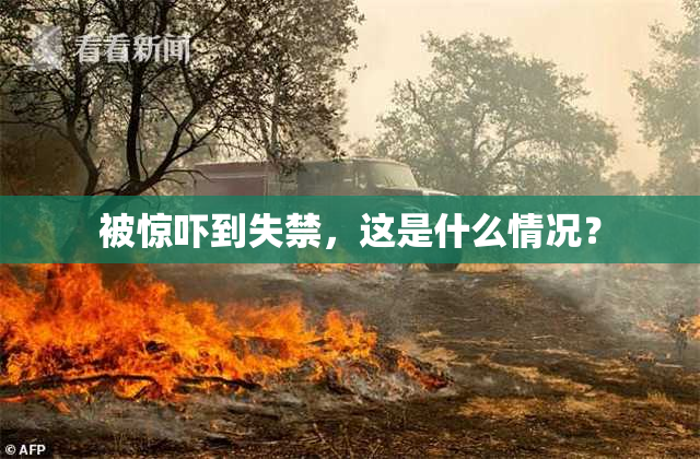 被惊吓到失禁，这是什么情况？