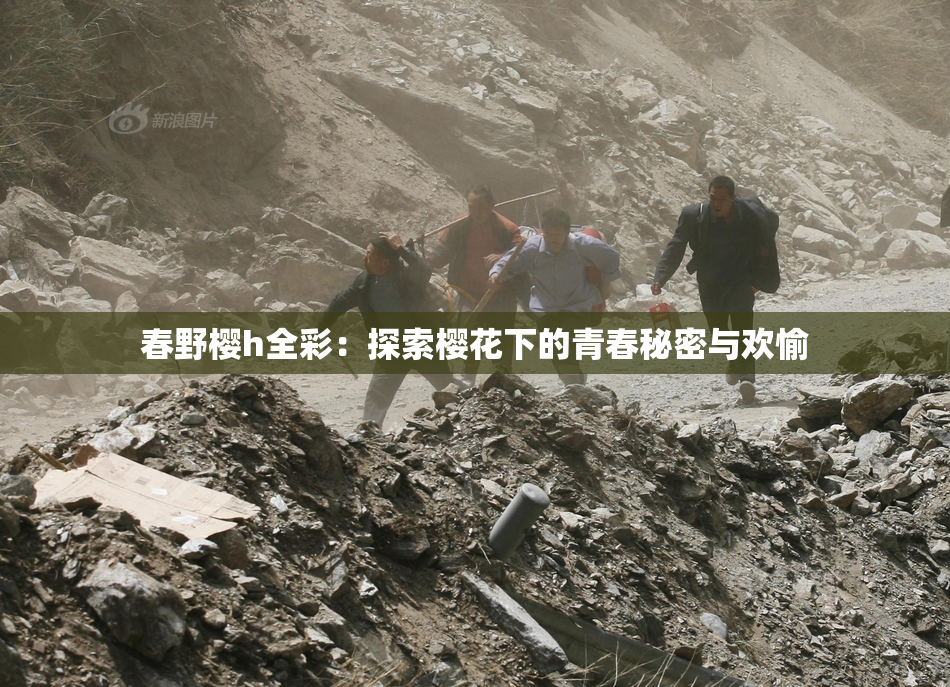 春野樱h全彩：探索樱花下的青春秘密与欢愉