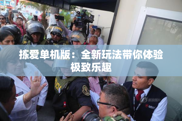 拣爱单机版：全新玩法带你体验极致乐趣