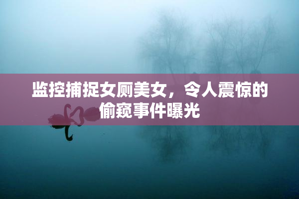 监控捕捉女厕美女，令人震惊的偷窥事件曝光