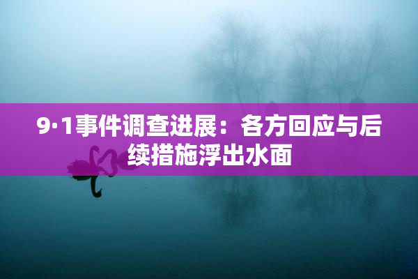 9·1事件调查进展：各方回应与后续措施浮出水面