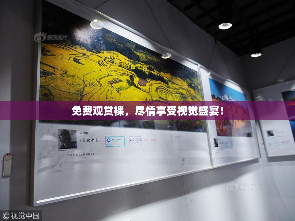 免费观赏裸，尽情享受视觉盛宴！