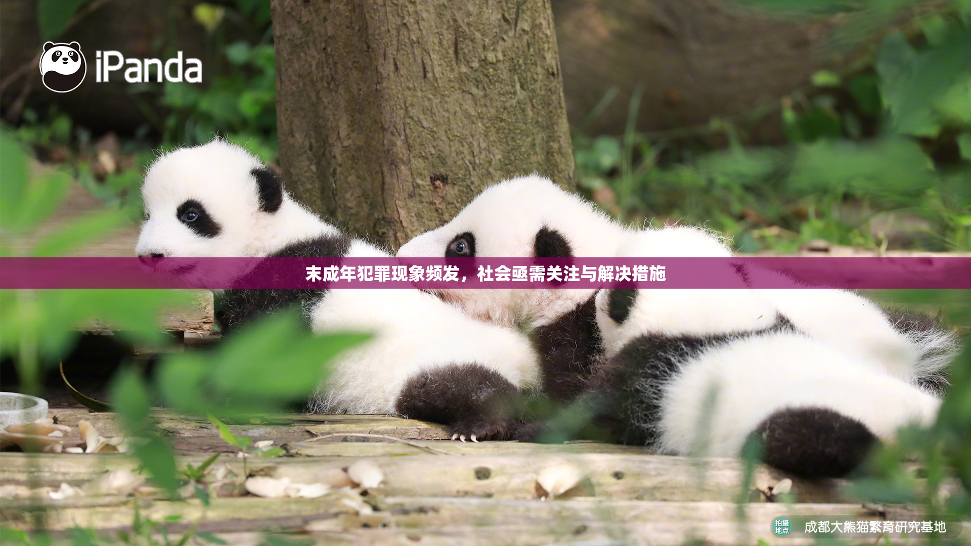 末成年犯罪现象频发，社会亟需关注与解决措施
