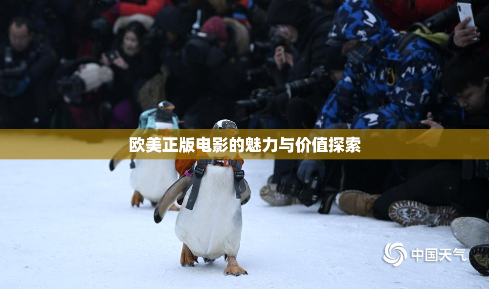 欧美正版电影的魅力与价值探索
