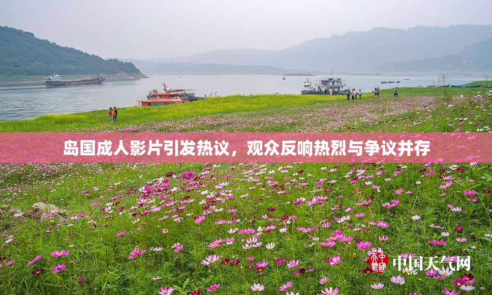 岛国成人影片引发热议，观众反响热烈与争议并存