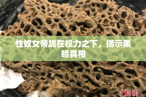 性奴女帝跪在权力之下，揭示黑暗真相