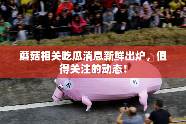 蘑菇相关吃瓜消息新鲜出炉，值得关注的动态！