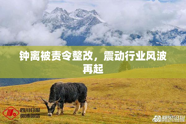 钟离被责令整改，震动行业风波再起