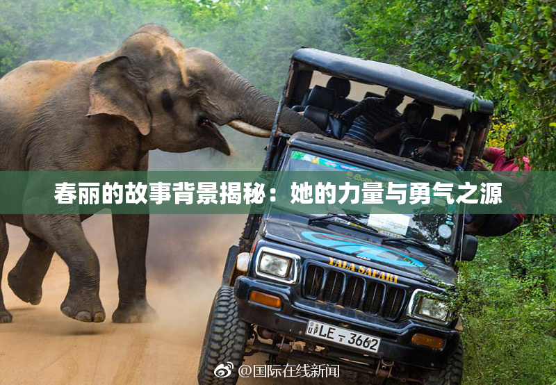春丽的故事背景揭秘：她的力量与勇气之源