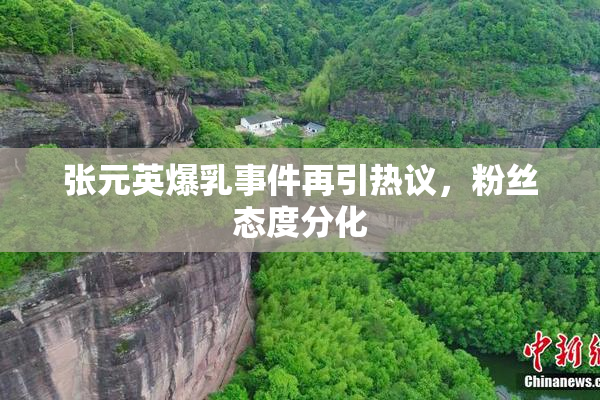 张元英爆乳事件再引热议，粉丝态度分化