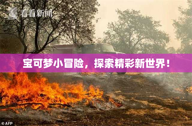 宝可梦小冒险，探索精彩新世界！