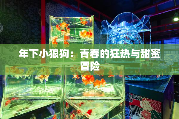 年下小狼狗：青春的狂热与甜蜜冒险