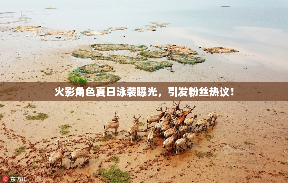 火影角色夏日泳装曝光，引发粉丝热议！