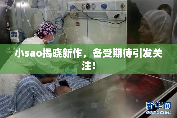小sao揭晓新作，备受期待引发关注！