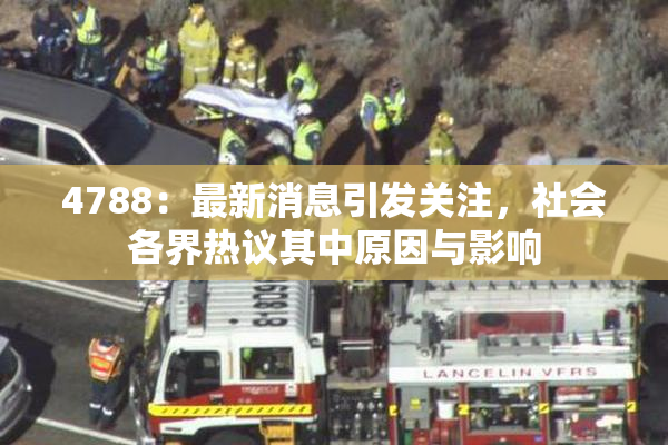 4788：最新消息引发关注，社会各界热议其中原因与影响