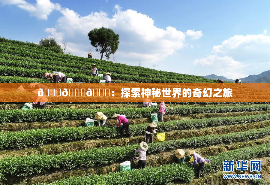 🍆🍑🔞：探索神秘世界的奇幻之旅