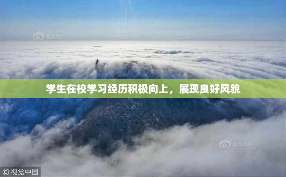 学生在校学习经历积极向上，展现良好风貌